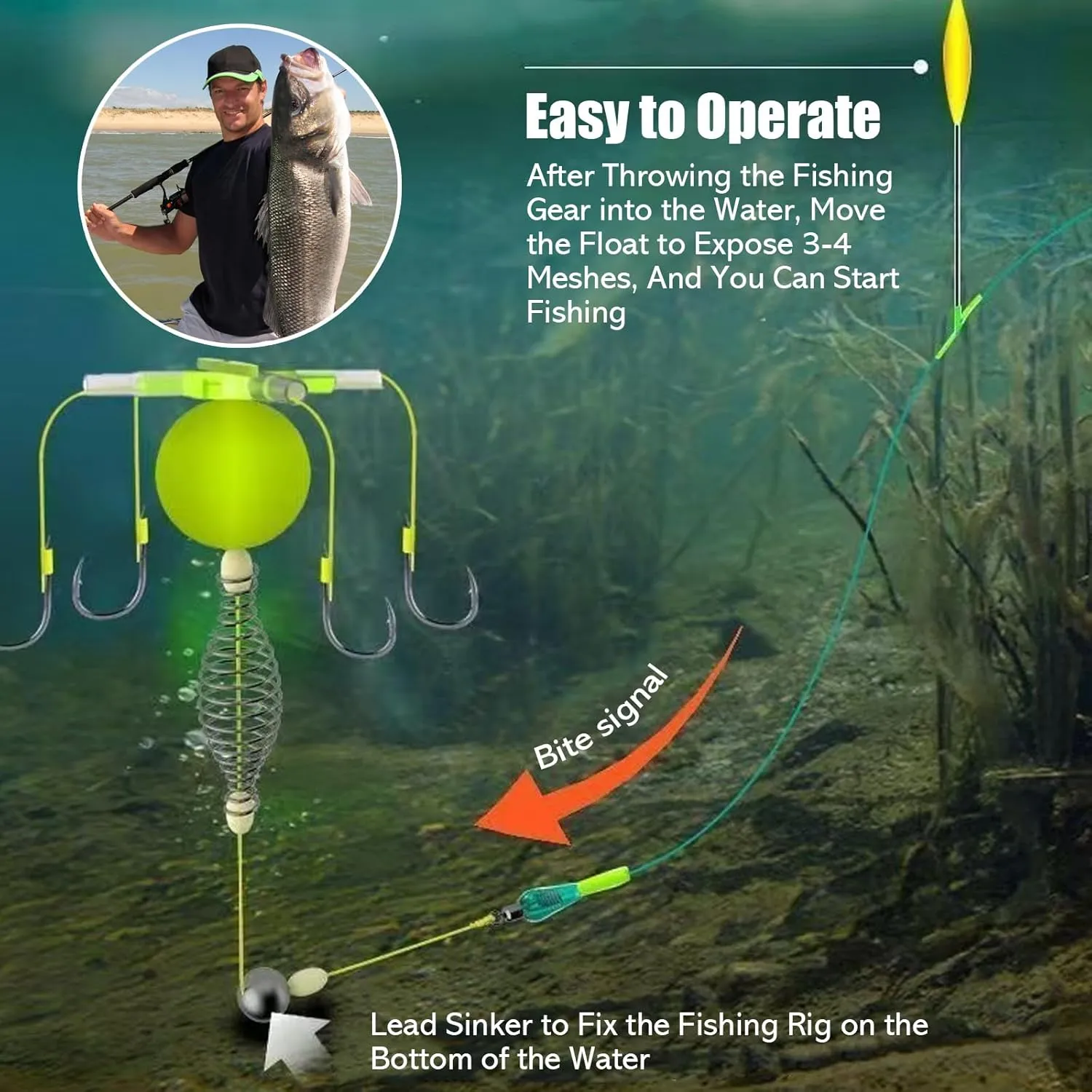 Four-Hook Anti-Tangle Fishing Set, 2025 New Spring Bait Cage, Premium Fishing Hooks with Fish Hooks Holder, Freshwater/Seawater Fishhook for Catfish Trout Bass Octopus Multi Size